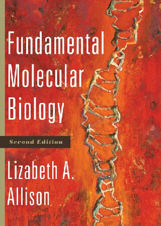 Fundamental Molecular Biology 2nd Edition Lizabeth A Allison
