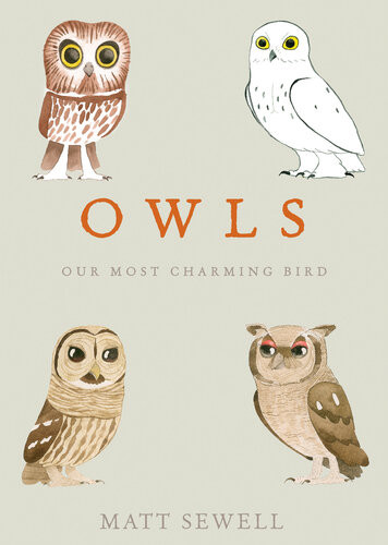 Owls Our Most Charming Bird 1st Edition Matt Sewell