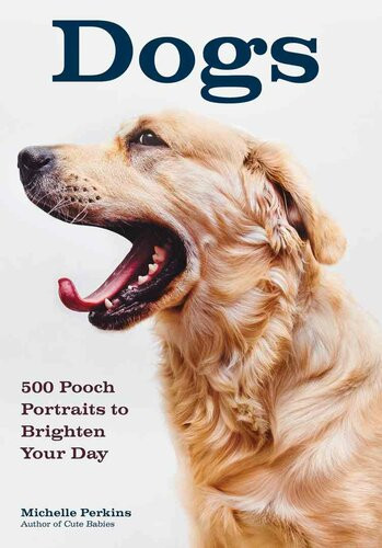 Dogs 500 Pooch Portraits To Brighten Your Day Michelle Perkins