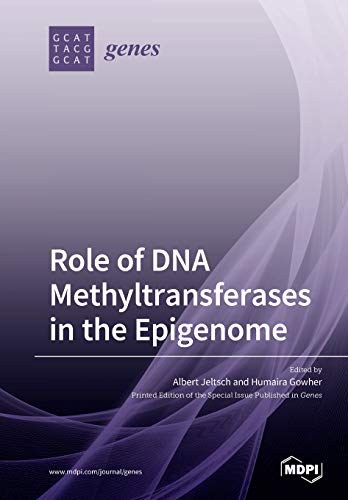 Role Of Dna Methyltransferases In The Epigenome Albert Jeltsch