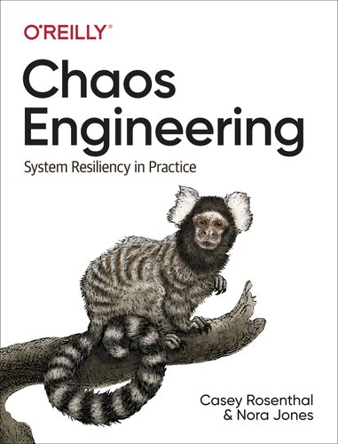Chaos Engineering System Resiliency In Practice Casey Rosenthal Nora Jones