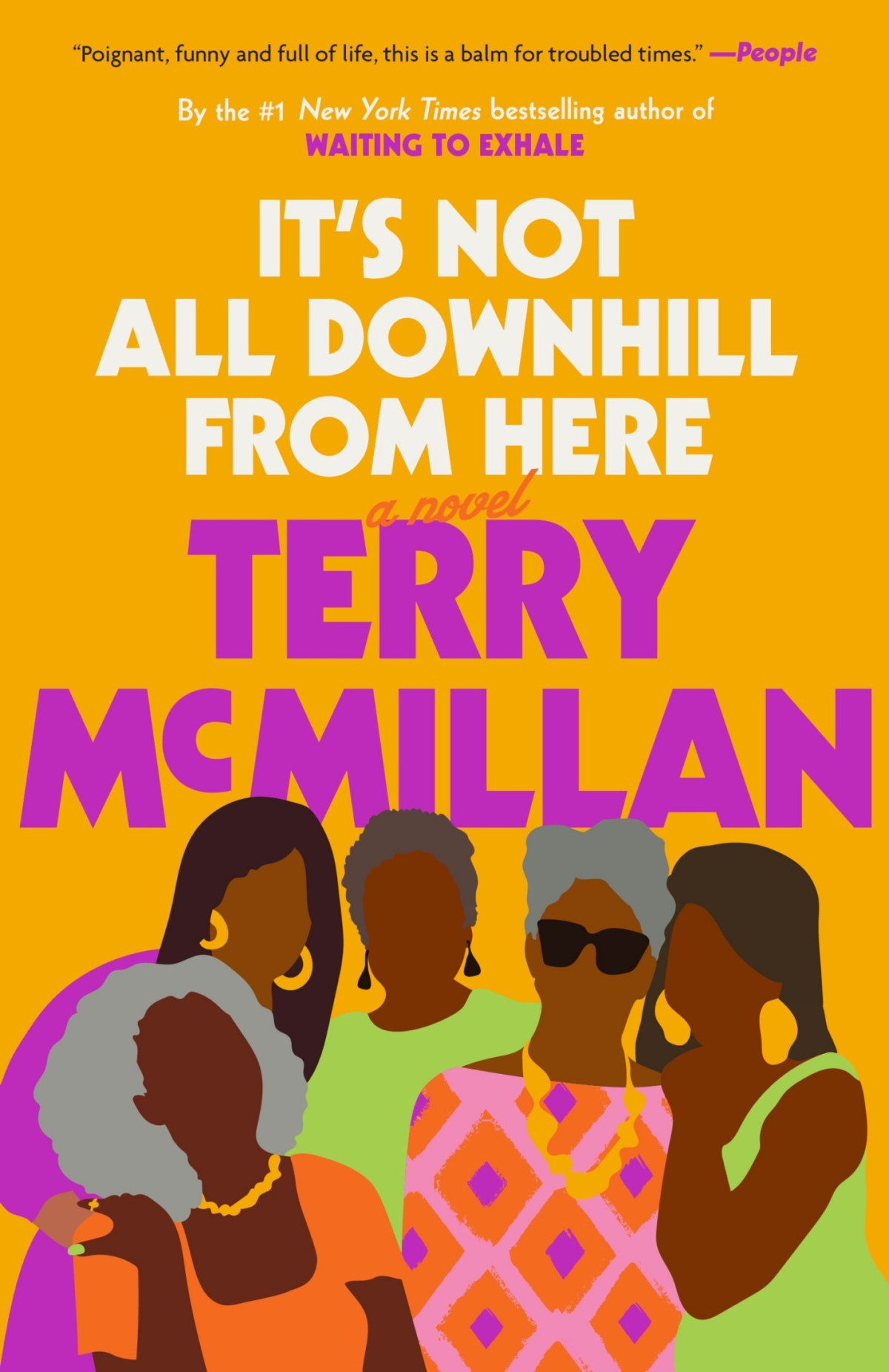Its Not All Downhill From Here Terry Mcmillan