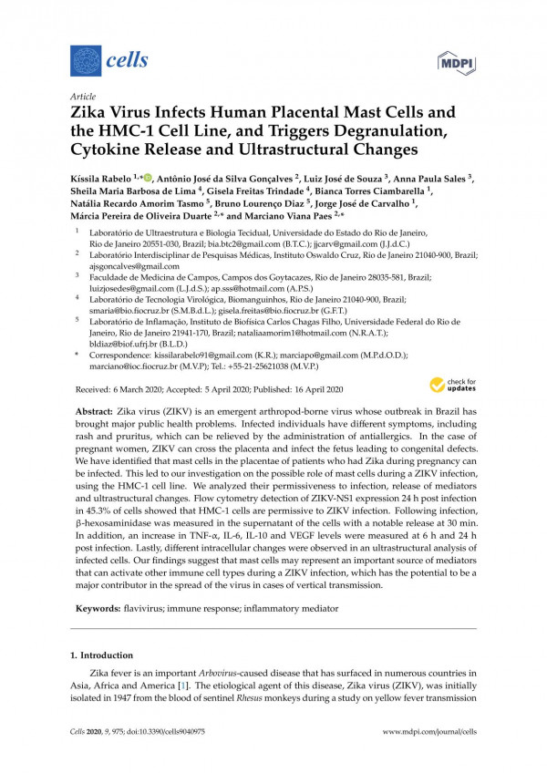 Zika Virus Infects Human Placental Mast Cells And The Hmc1 Cell Line And Triggers Degranulation Cytokine Release And Ultrastructural Changes Kssila Rabelo