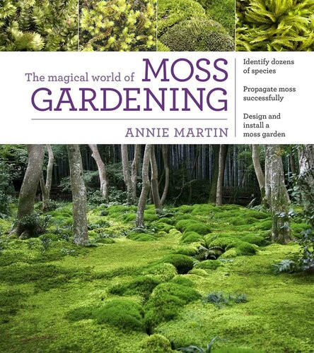 The Magical World Of Moss Gardening Annie Martin