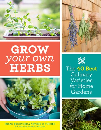 Grow Your Own Herbs The 40 Best Culinary Varieties For Home Gardens Susan Belsinger
