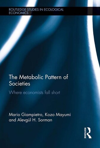 The Metabolic Pattern Of Societies Where Economists Fall Short Mario Giampietro