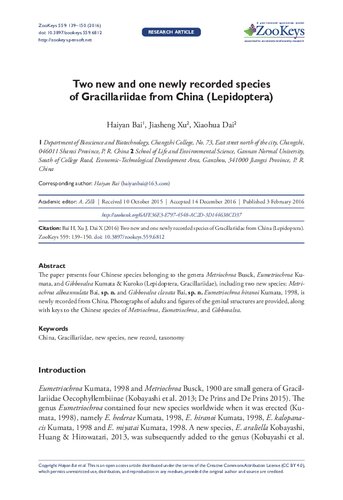 Two New And One Newly Recorded Species Of Gracillariidae From China Lepidoptera 559th Edition Haiyan Bai
