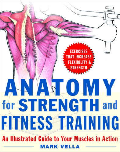 Anatomy For Strength And Fitness Training An Illustrated Guide To Your Muscles In Action Mark Vella