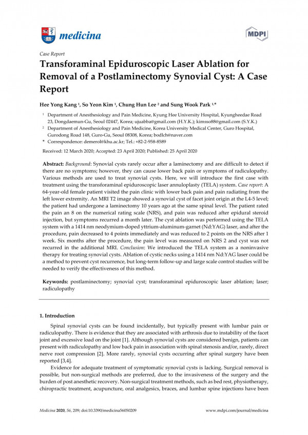 Transforaminal Epiduroscopic Laser Ablation For Removal Of A Postlaminectomy Synovial Cyst A Case Report Hee Yong Kang