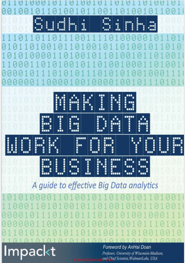 Making Big Data Work For Your Business A Guide To Effective Big Data Analytics Sudhi Sinha