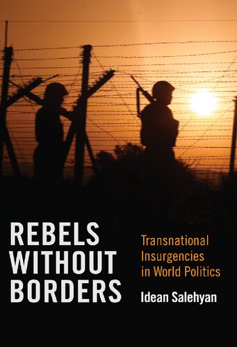 Rebels Without Borders Transnational Insurgencies In World Politics Idean Salehyan