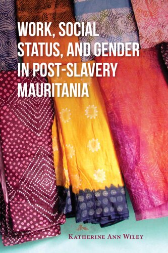 Work Social Status And Gender In Postslavery Mauritania 1st Edition Katherine A Wiley