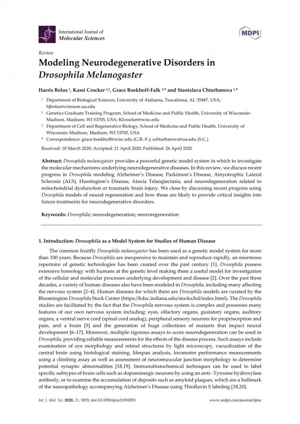 Modeling Neurodegenerative Disorders In Drosophila Melanogaster Harris Bolus