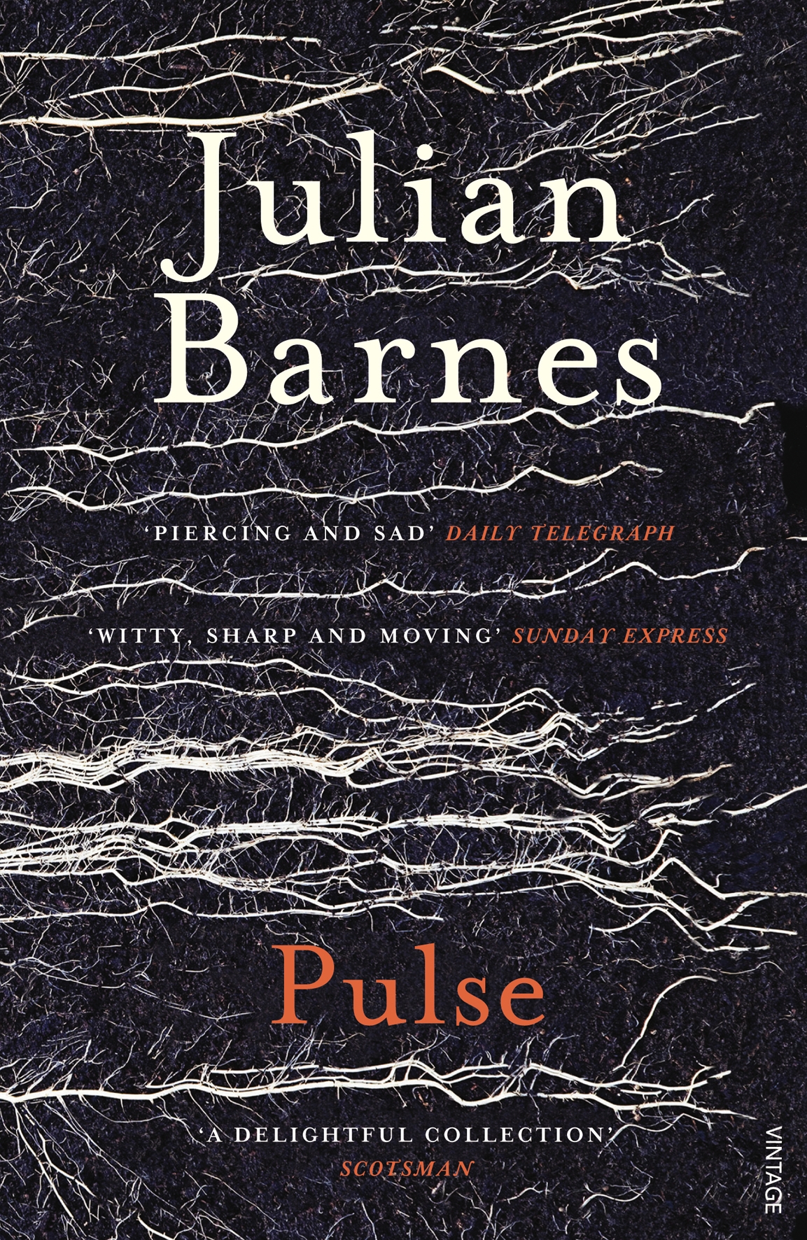 Pulse Julian Barnes