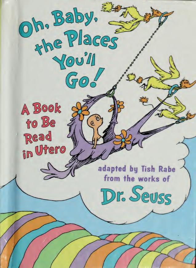 Oh Baby The Places Youll Go Dr Seuss Illustrated Ed Tish Rabe Author