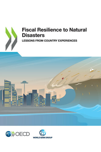 Fiscal Resilience To Natural Disasters Oecd And The World Bank