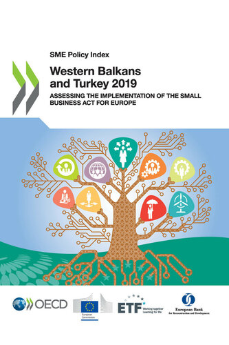 Sme Policy Index Western Balkans And Turkey 2019 Oecd