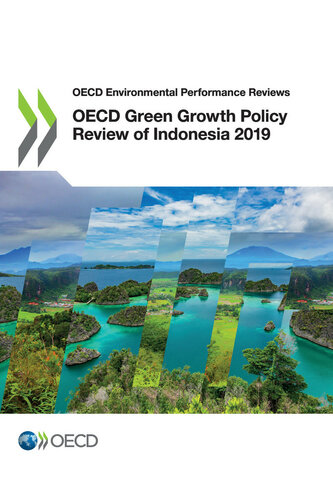 Oecd Green Growth Policy Review Of Indonesia 2019 Oecd