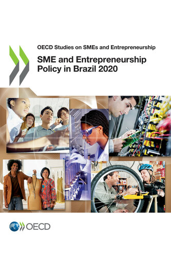 Sme And Entrepreneurship Policy In Brazil 2020 Oecd