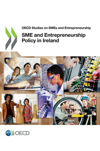 Sme And Entrepreneurship Policy In Ireland Oecd