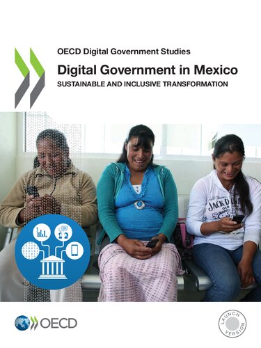 Digital Government In Mexico Oecd
