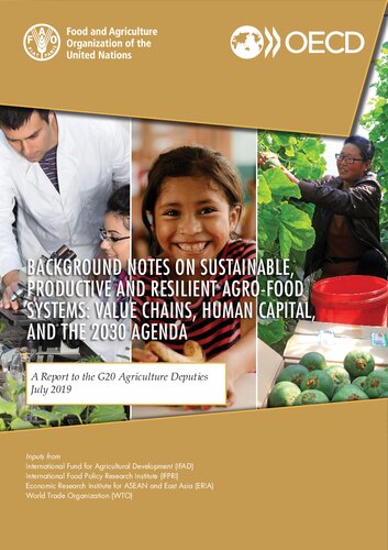 Background Notes On Sustainable Productive And Resilient Agrofood Systems Value Chains Human Capital And The 2030 Agenda A Report To The G20 Agriculture Deputies July 2019 Food And Agriculture Organization Of The United Nations Organisation For Economic Cooperation And Development