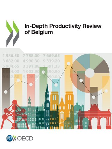 Indepth Productivity Review Of Belgium Oecd