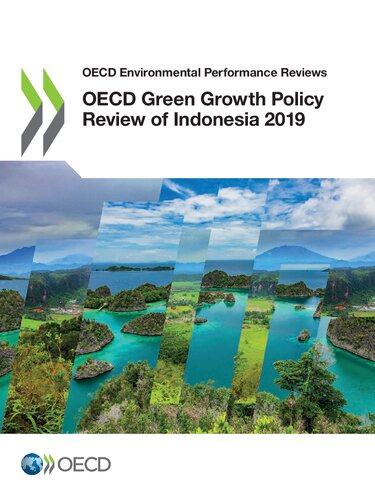 Oecd Green Growth Policy Review Of Indonesia 2019 Oecd
