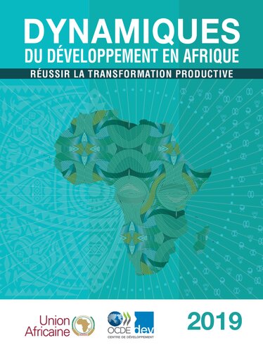 Dynamiques Du Developpement En Afrique 2019 Oecd