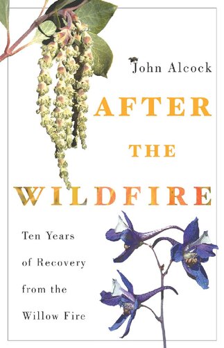 After The Wildfire Ten Years Of Recovery From The Willow Fire John Alcock