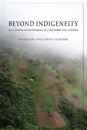 Beyond Indigeneity Coca Growing And The Emergence Of A New Middle Class In Bolivia Alessandra Pellegrini Caldern