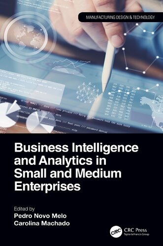 Business Intelligence And Analytics In Small And Medium Enterprises Pedro Novo Melo