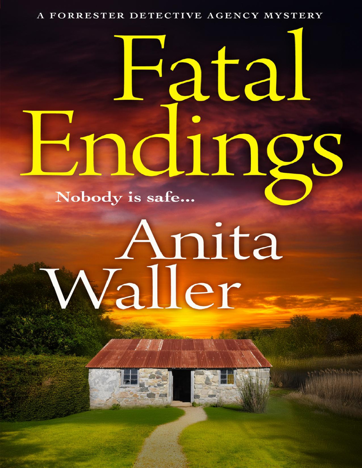 Fatal Endings The Forrester Detective Agency Mysteries Anita Waller