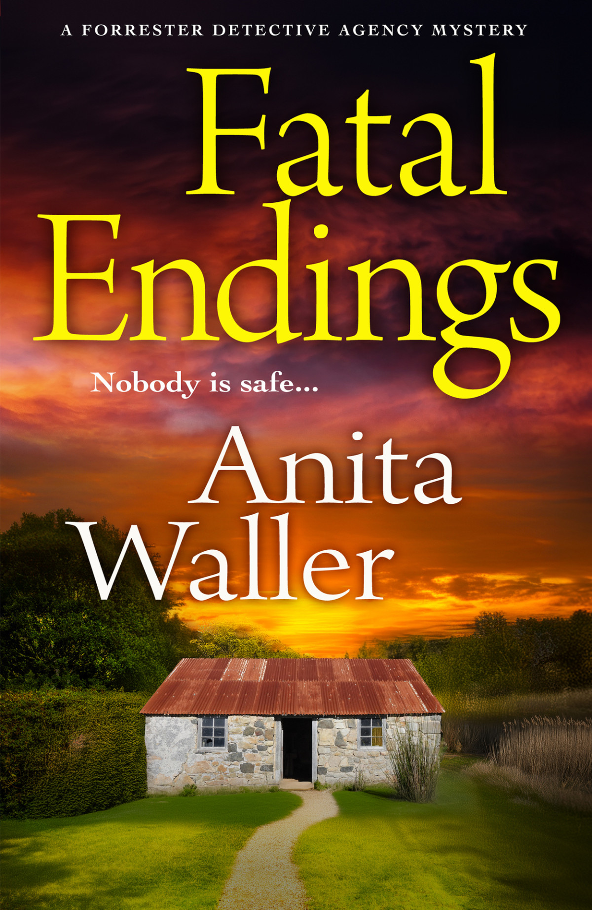 Fatal Endings The Forrester Detective Agency Mysteries Anita Waller