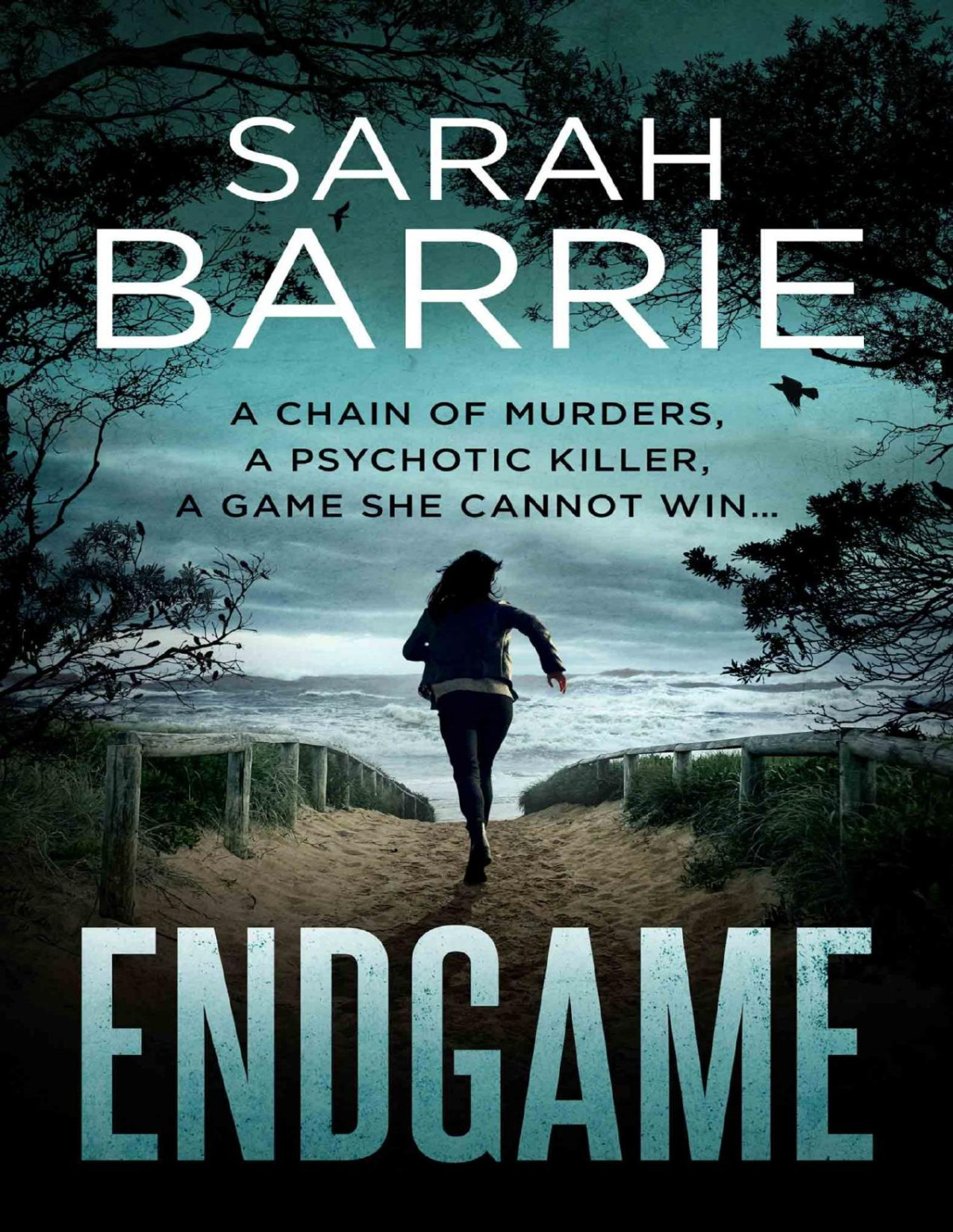 Endgame Sarah Barrie