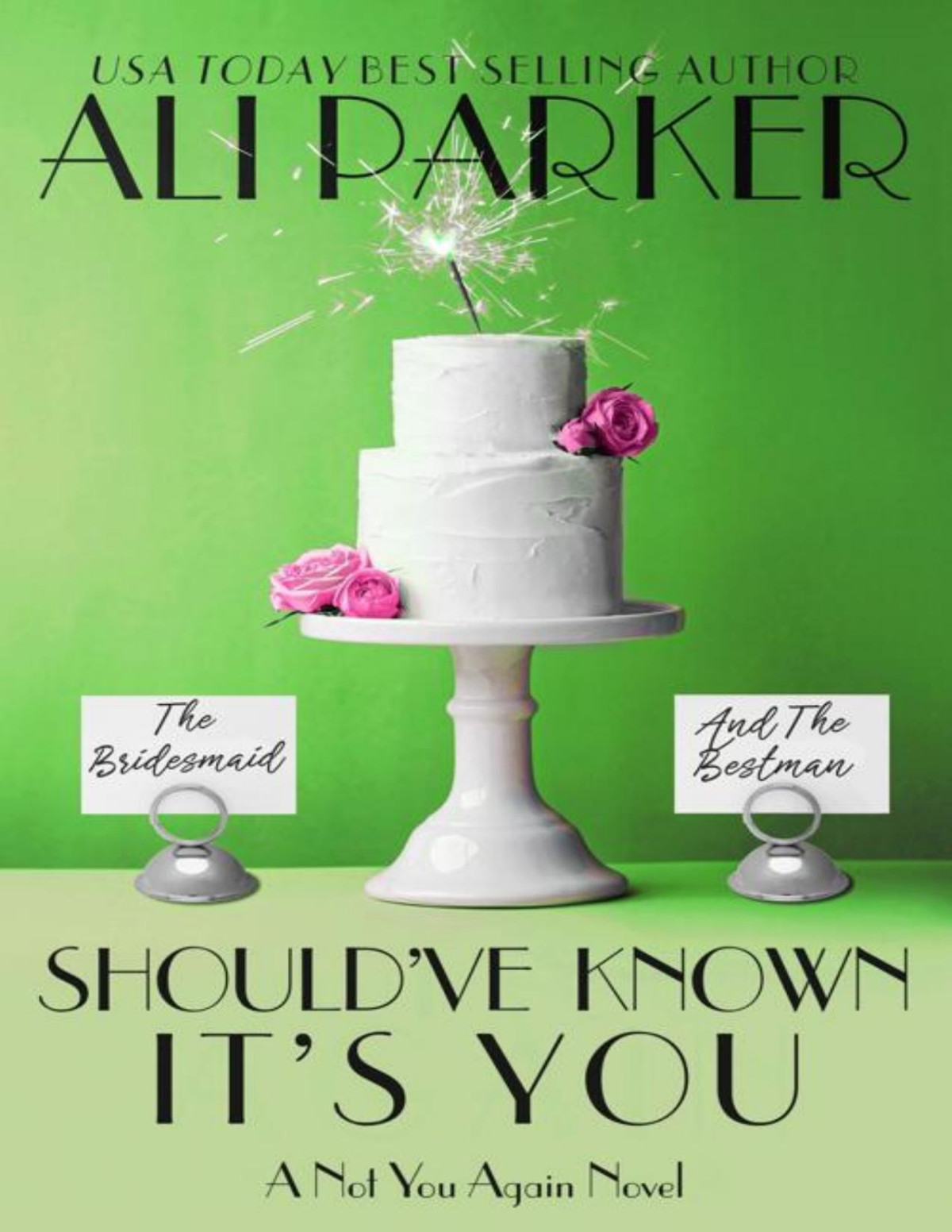 Shouldve Known Its You A Not You Again Novel Book 7 Ali Parker