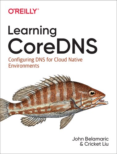 Learning Coredns Configuring Dns For Cloud Native Environments 1st Edition John Belamaric