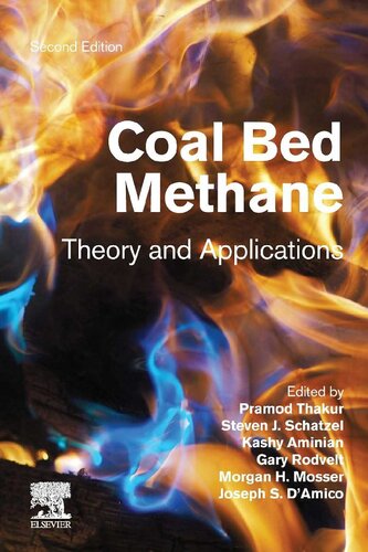 Coal Bed Methane Theory And Applications Pramod Thakur Steve Schatzel Kashy Aminian Morgan Mosser Gary Rodvelt Joeseph Damico