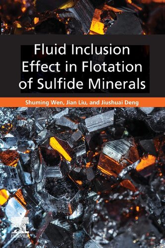 Fluid Inclusion Effect In Flotation Of Sulfide Minerals 1st Edition Shuming Wen
