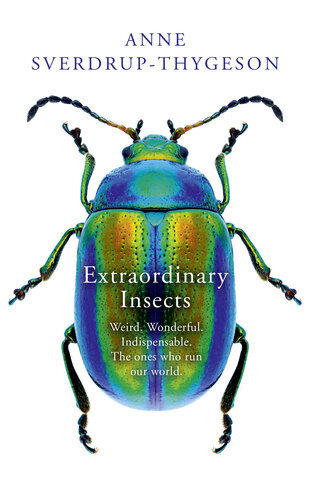 Extraordinary Insects Weird Wonderful Indispensable The Ones Who Run Our World Anne Sverdrupthygeson