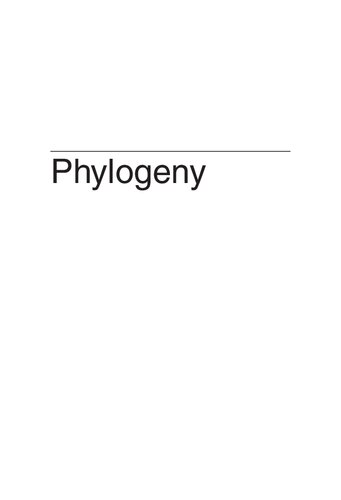 Phylogeny Discrete And Random Processes In Evolution 1st Edition Mike Steel