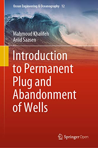 Introduction To Permanent Plug And Abandonment Of Wells 1st Edition Khalifeh