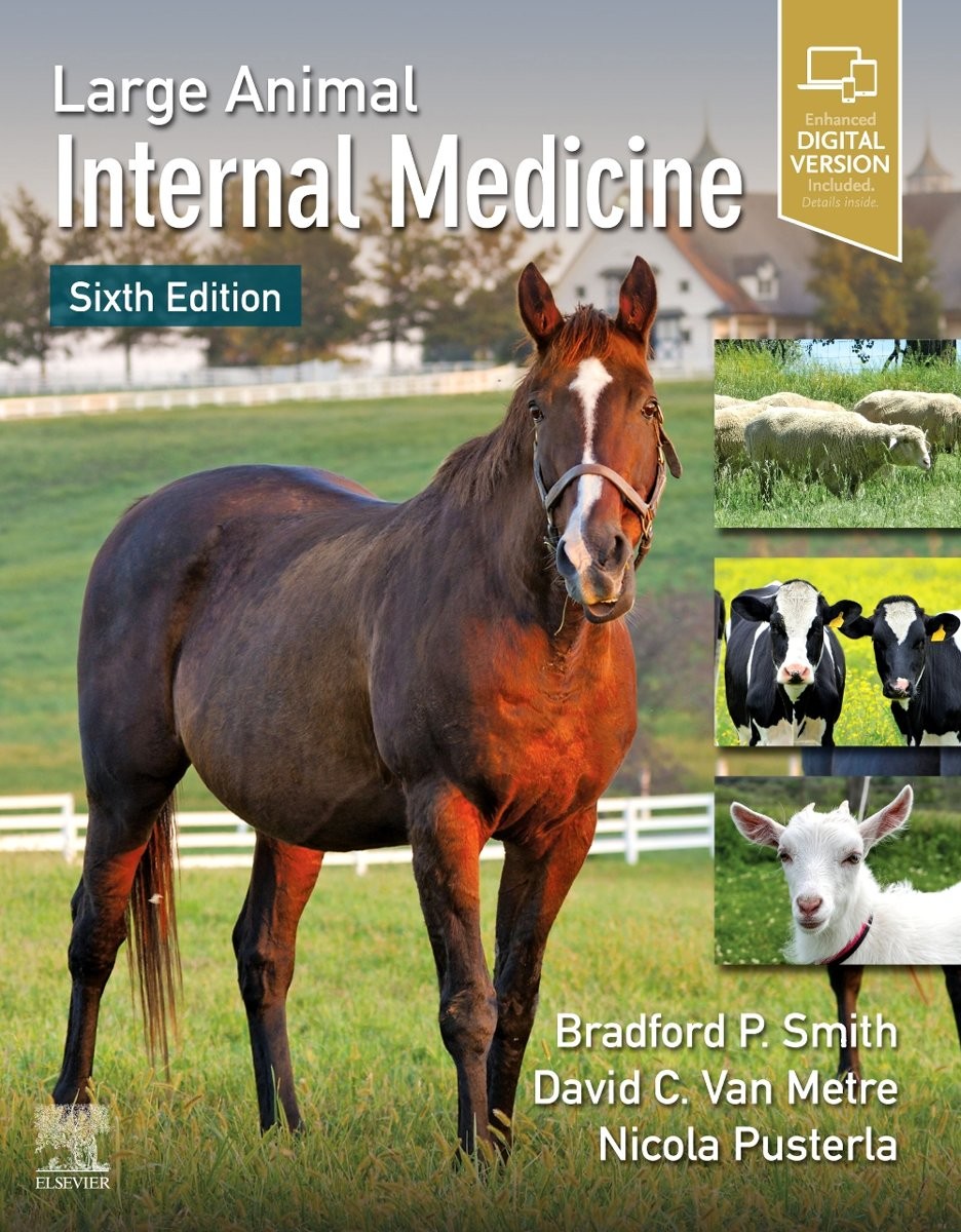 Large Animal Internal Medicine 6th Edition 6th Edition Bradford P Smith