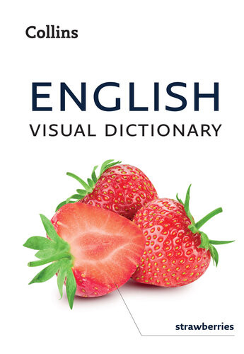 English Visual Dictionary A Photo Guide To Everyday Words And Phrases In English First Collins Dictionaries