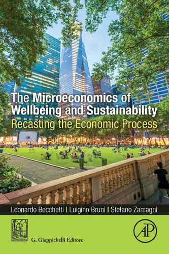 The Microeconomics Of Wellbeing And Sustainability Recasting The Economic Process 1st Edition Leonardo Becchetti