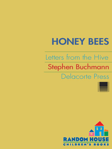 Honey Bees Letters From The Hive 1st Edition Stephen Buchmann