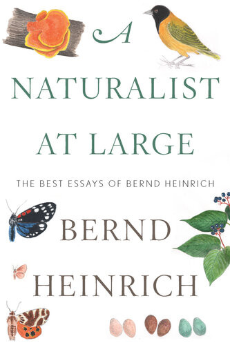 A Naturalist At Large The Best Essays Of Bernd Heinrich Bernd Heinrich