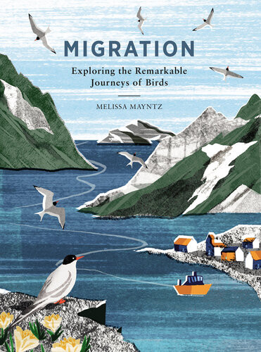 Migration Exploring The Remarkable Journeys Of Birds Melissa Mayntz