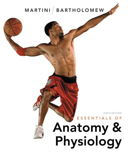 Essentials Of Anatomy And Physiology 6 Ed Frederic Martini Edwin F Bartholomew