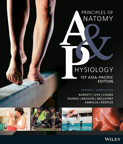 Principles Of Anatomy Physiology 15 Ed Gerard J Tortora Bryan Derrickson
